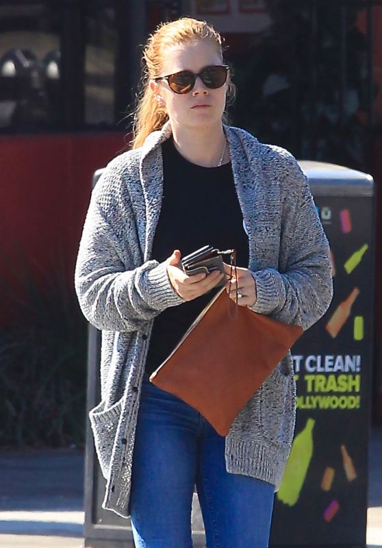 Amy Adams - Out in Los Angeles 9/19/2016