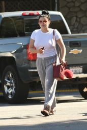 Ariel Winter - Grocery Shopping in Los Angeles 9/17/2016