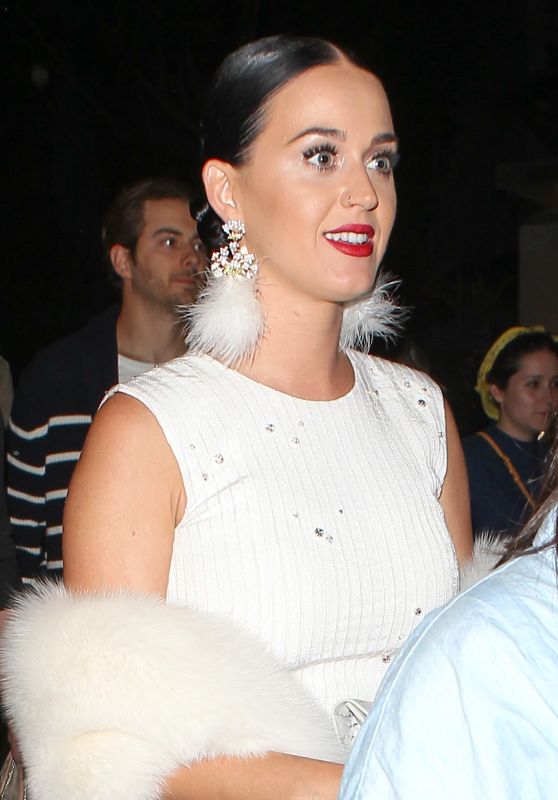 Katy Perry - Beyonce Concert at Dodger