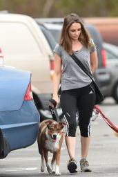 Rachael Leigh Cook - Walking Her Dogs in LA, October 2016