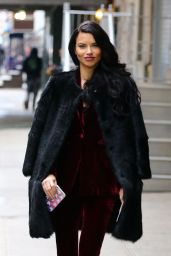 Adriana Lima - Arriving to 