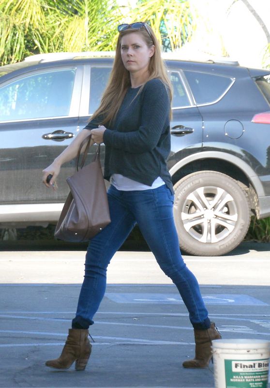 Amy Adams in Tight Jeans - Shopping in West Hollywood 12/5/ 2016 