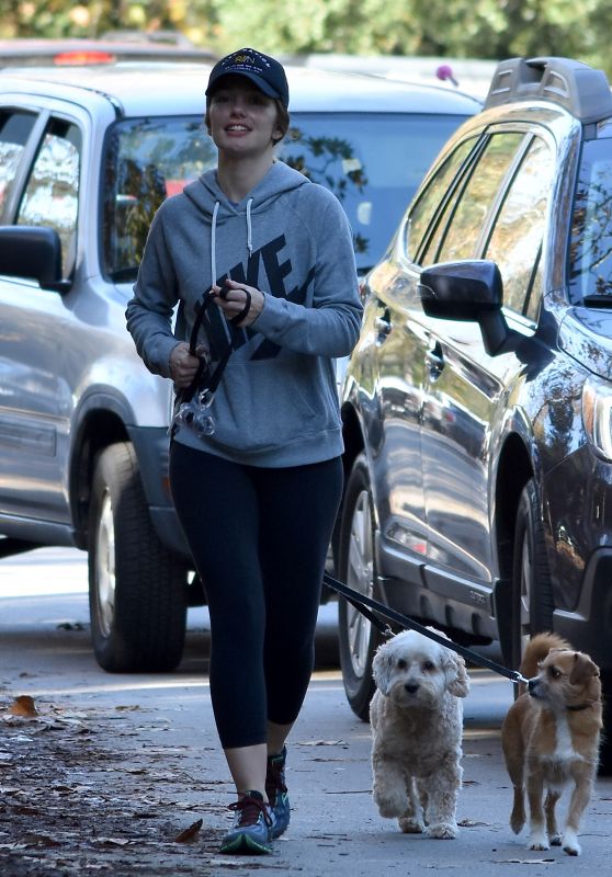 Minka Kelly - Walking Her Dogs in Los Angeles 1/1/ 2017 