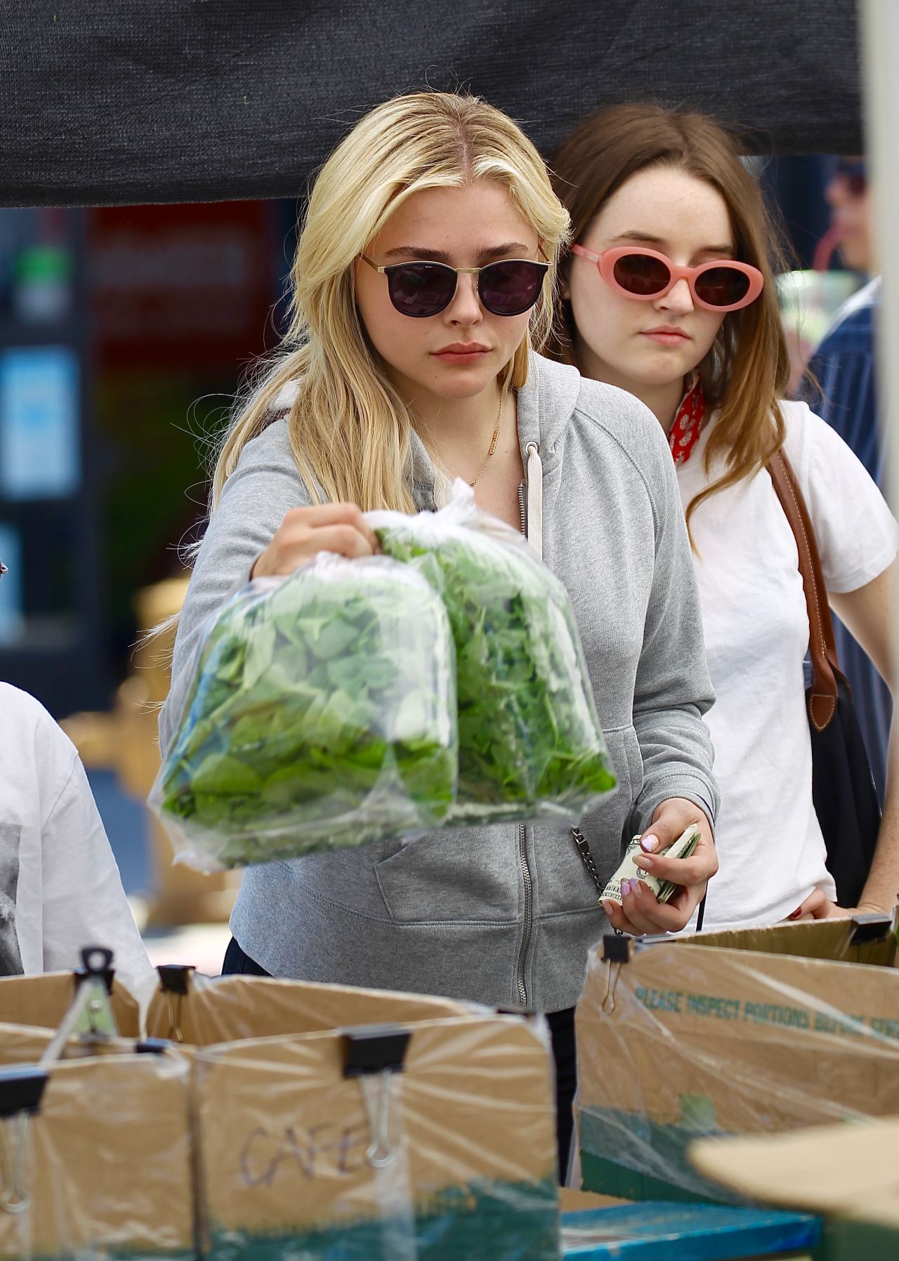 Chloe Moretz With Friends - Studio City Farmers Market 05/21/2017