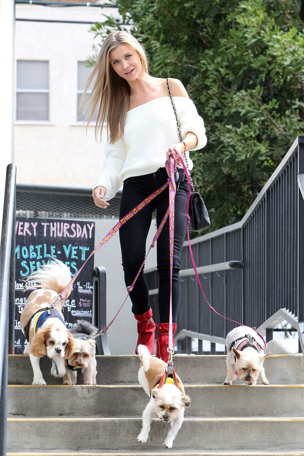 Joanna Krupa - Picking Up Her Dogs From Sam's Green Paw 05/15/2017