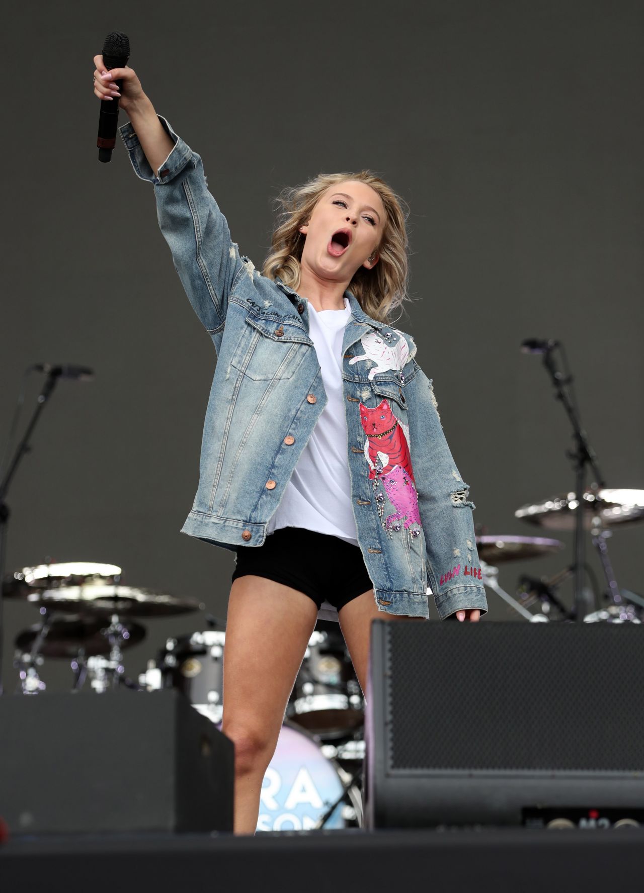 Zara Larsson Performs Live at BBC Big Weekend in Burton Constable Hall ...