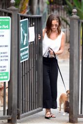 Minka Kelly With Her Dogs in Los Angele 06/26/2017