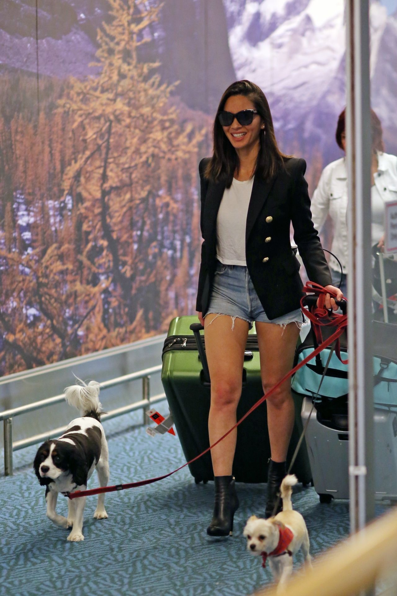 Olivia Munn - Arriving in Vancouver With Her Dogs 07/30/2017 • CelebMafia