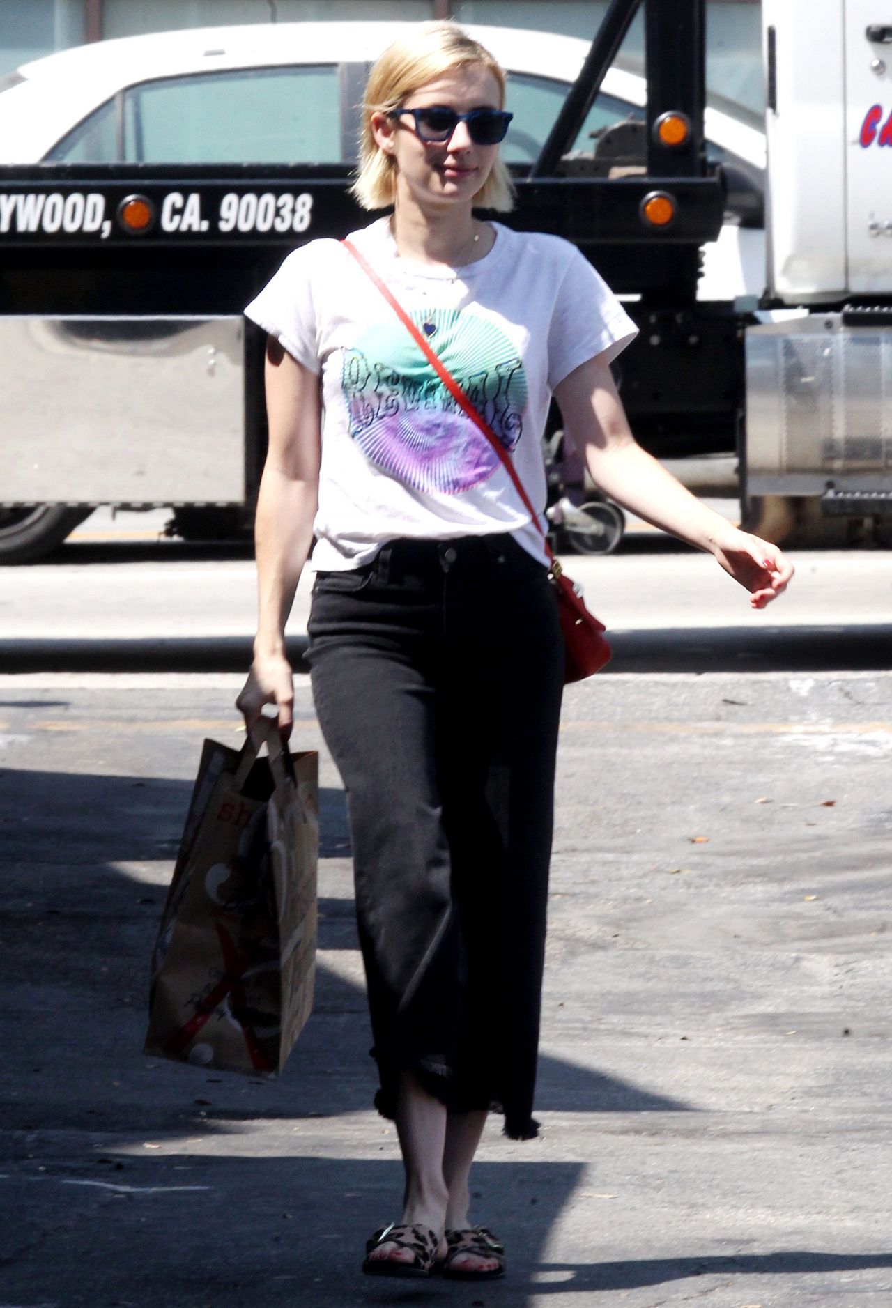 Emma Roberts - Grabs a Bag of Groceries at Bristol Farms in West ...
