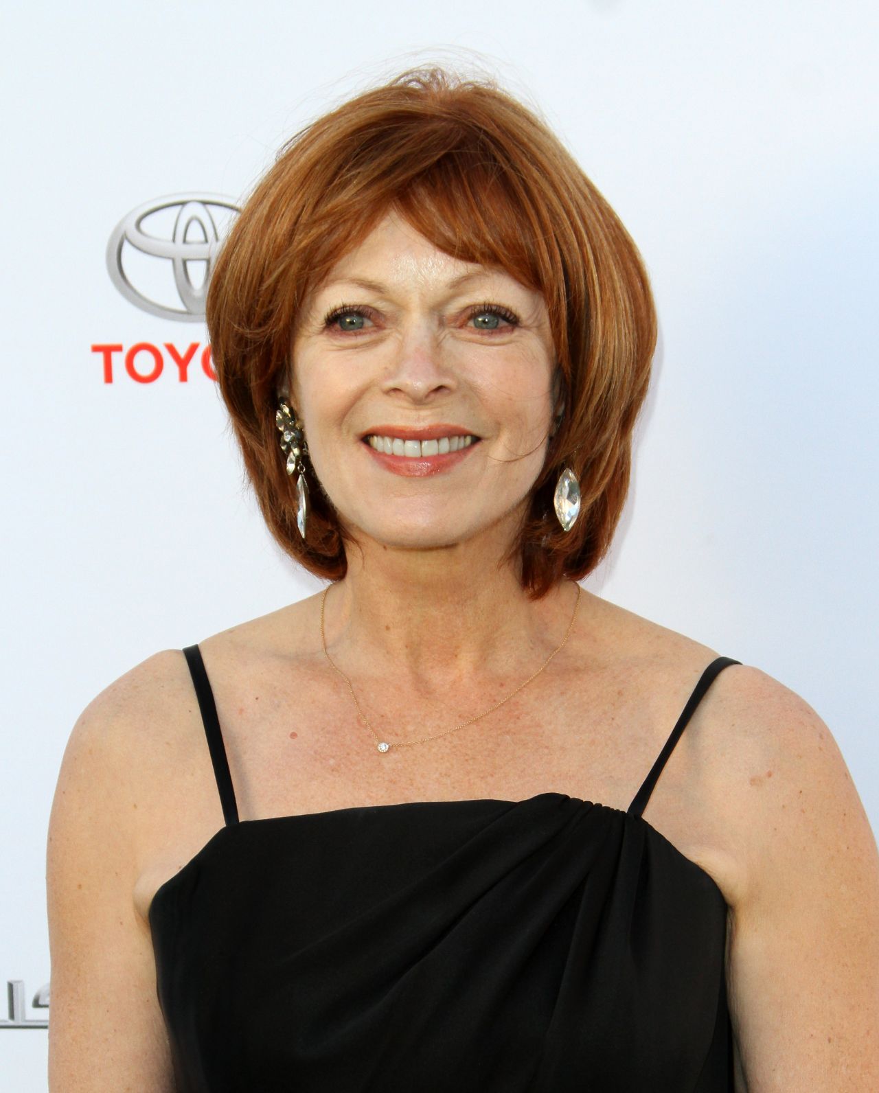 Frances Fisher Biography - Facts, Childhood, Family Life 