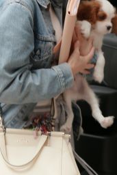 Selena Gomez - Arriving at Her Hotel With Her Puppy in NYC 09/18/2017
