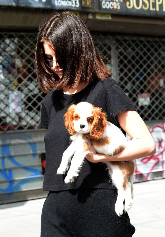 Selena Gomez With Her Puppy - Woody Allen Film Set in NYC 09/19/2017