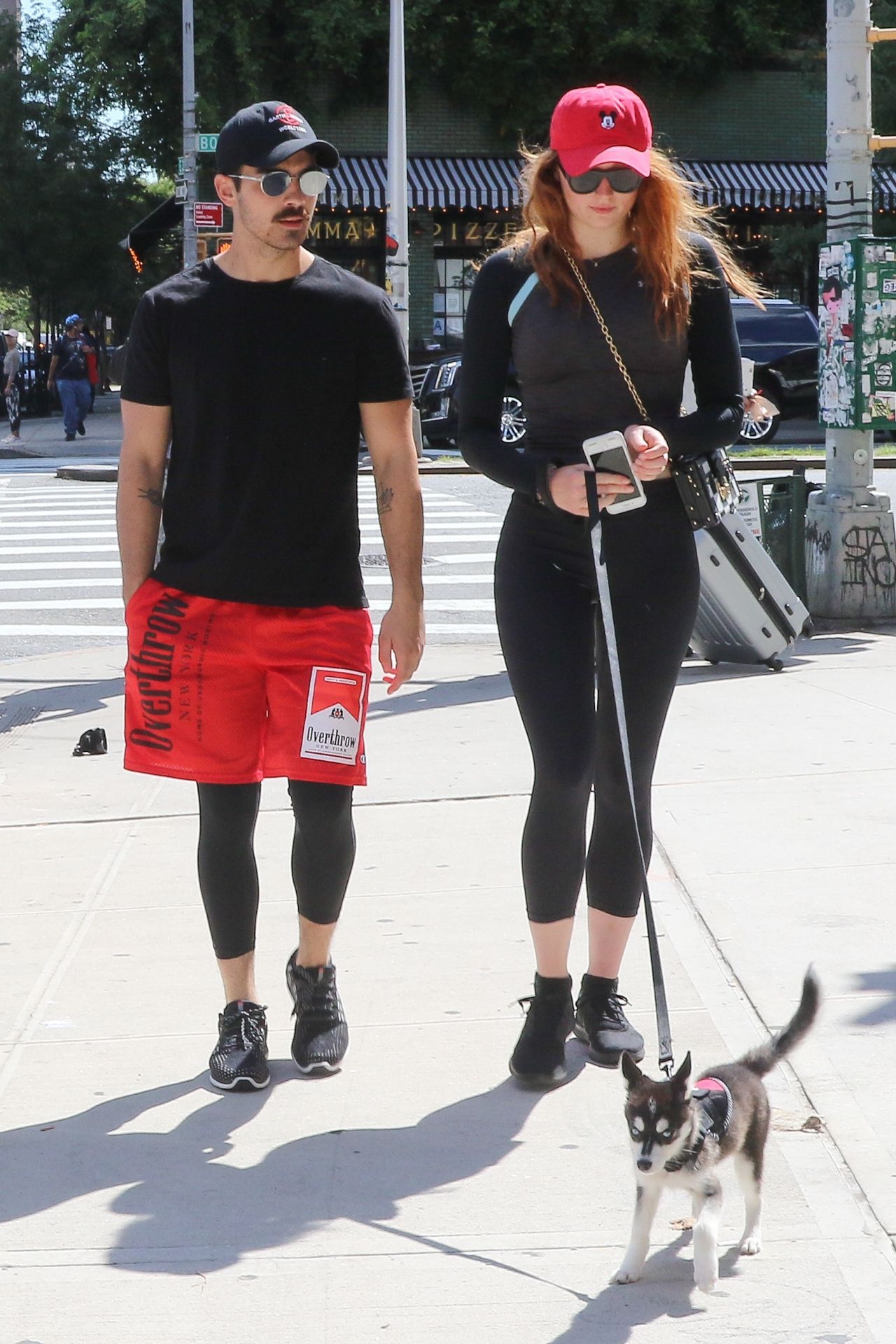 Sophie Turner With Joe Jonas and Their Puppy Porky in NYC 09/08/2017