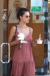 Alessandra Ambrosio - Out in Los Angeles 10/26/2017