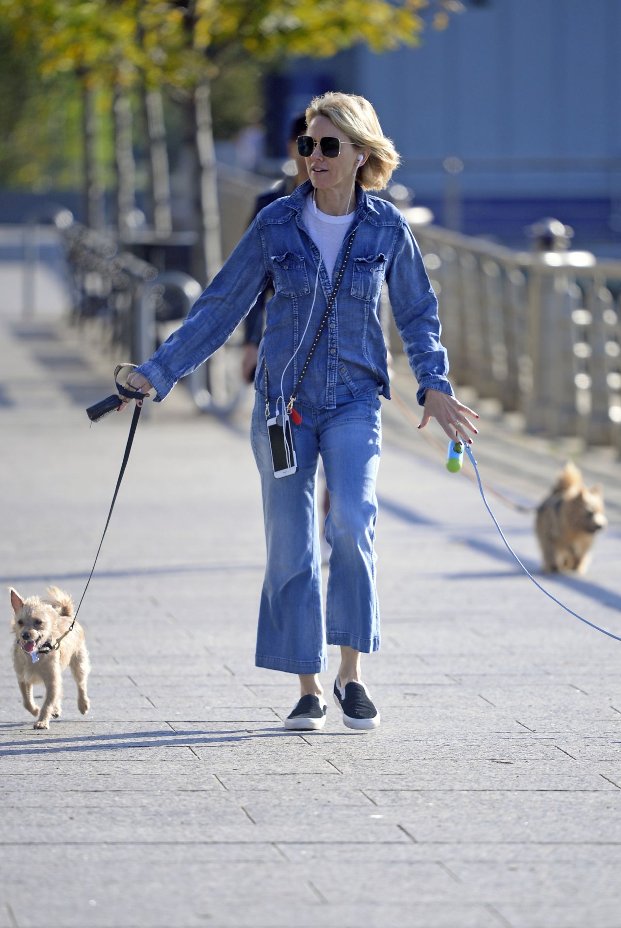 Naomi Watts Walking Her Dog in Tribeca, NYC 10/12/2017 • CelebMafia