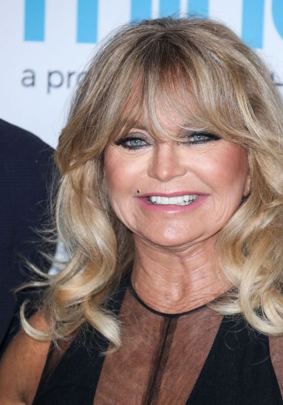 Goldie Hawn – 2017 The Hawn Foundation Gala in Los Angeles