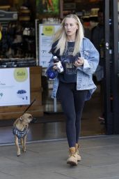 Lorraine Gilles - Walking Her Dog in Los Angeles 11/09/2017