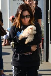 Ashley Tisdale With Her Dog - Venice Beach 12/19/2017