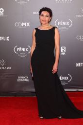 Dolores Heredia – Fenix Film Awards 2017 in Mexico City