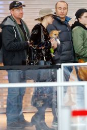Jennifer Lawrence With Her Dog Pippa - Airport in New York