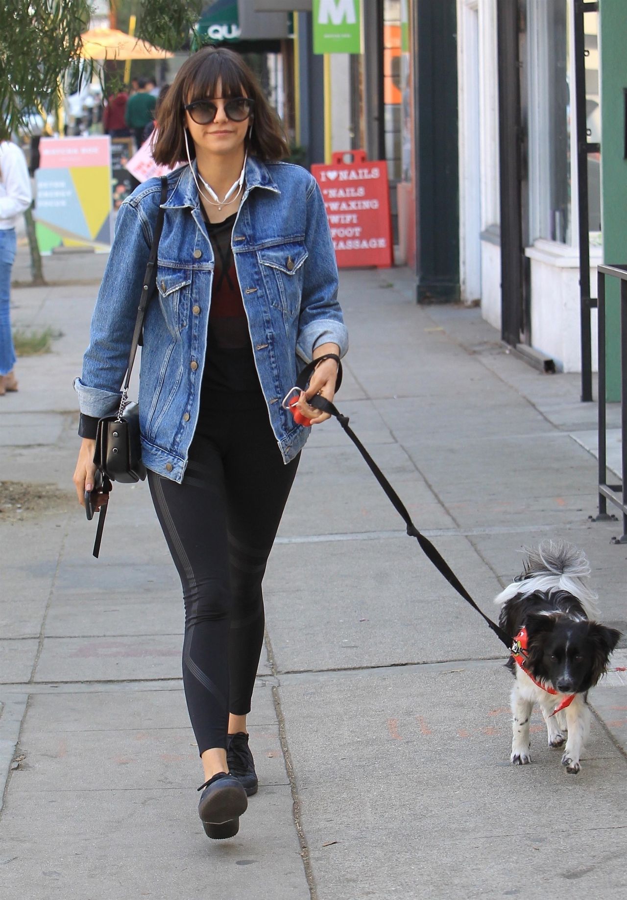 Nina Dobrev - Takes Her Dog For a Walk in Hollywood 12/16/2017 • CelebMafia