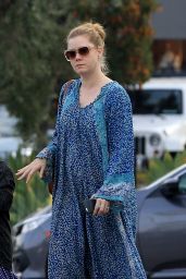 Amy Adams Leaves a Veterinarian Office in West Hollywood