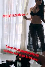 Nikki Bella - Social Media Pics 01/26/2018