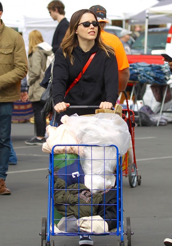 Sophia Bush - Shopping at the Melrose Trading Post in LA