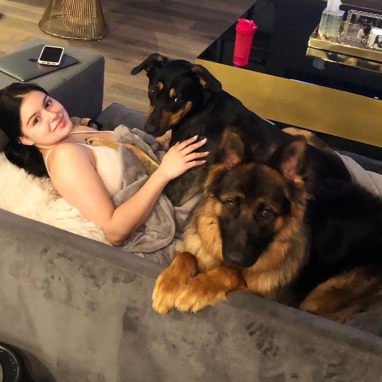 Ariel Winter Has A Soft Spot For Dogs: Get To Know Her Pets