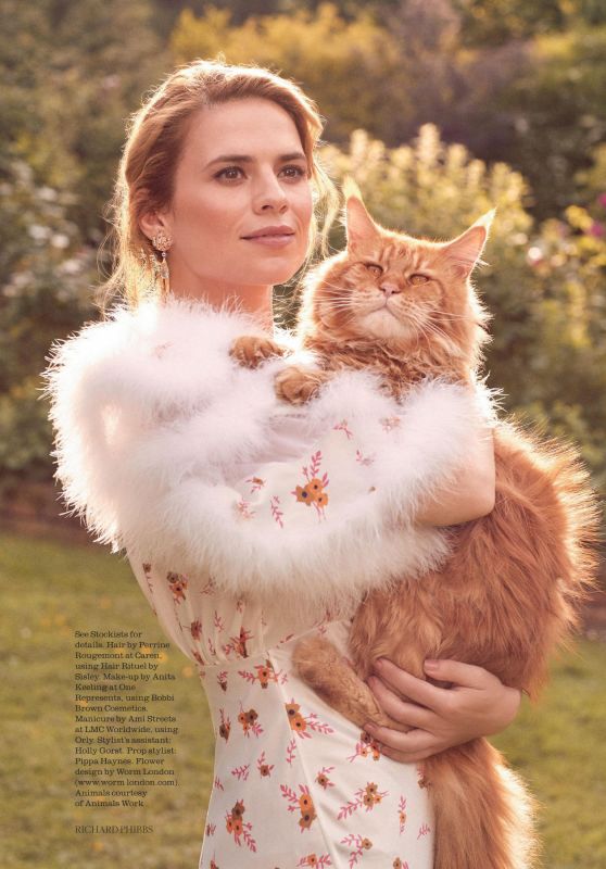 Hayley Atwell - Town & Country Fall 2018