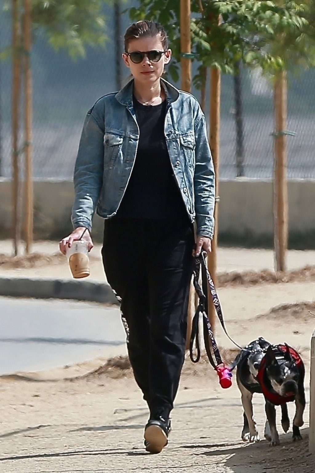 Kate Mara - Walking Her Dogs in LA 08/25/2018 • CelebMafia