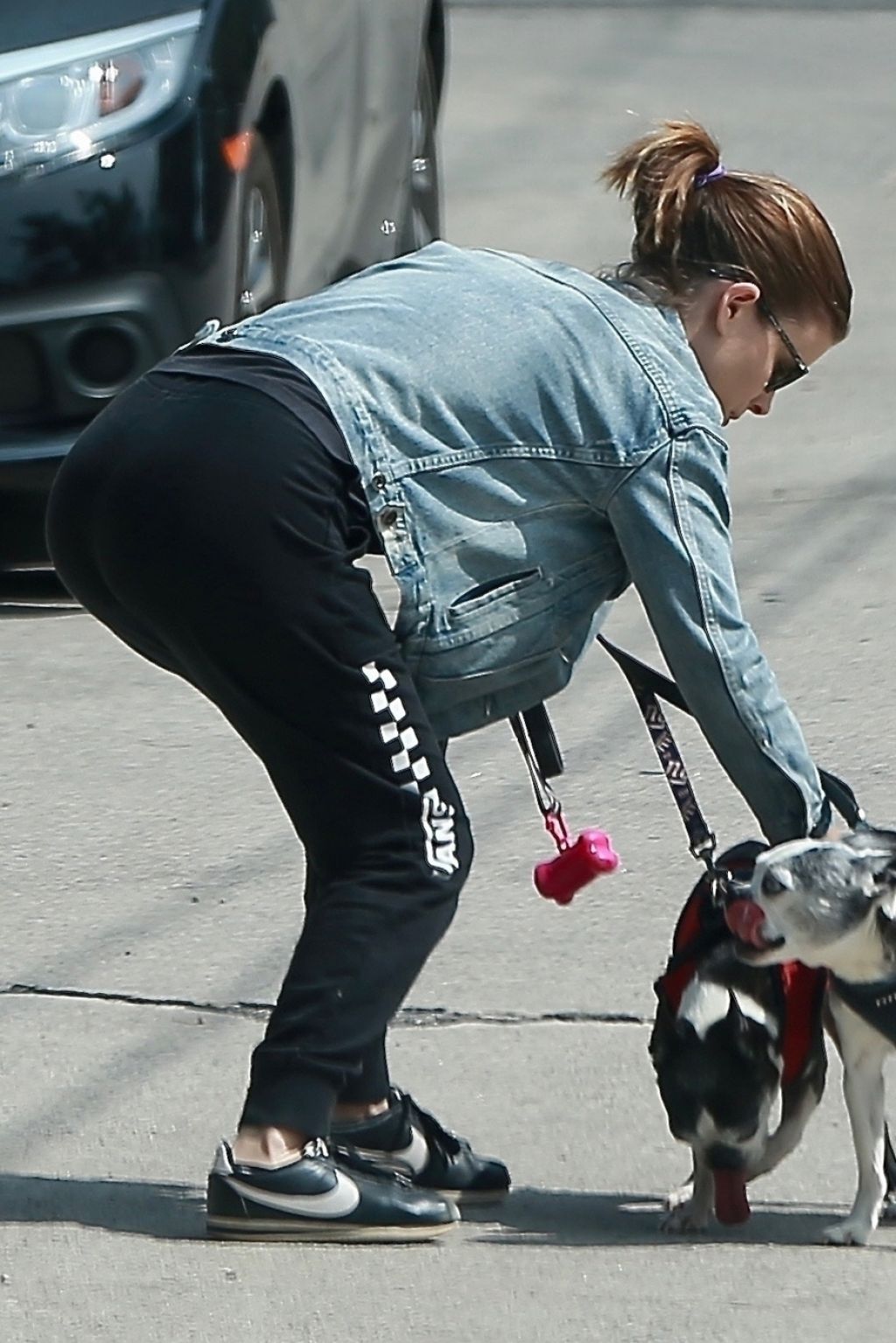 Kate Mara - Walking Her Dogs in LA 08/25/2018 • CelebMafia