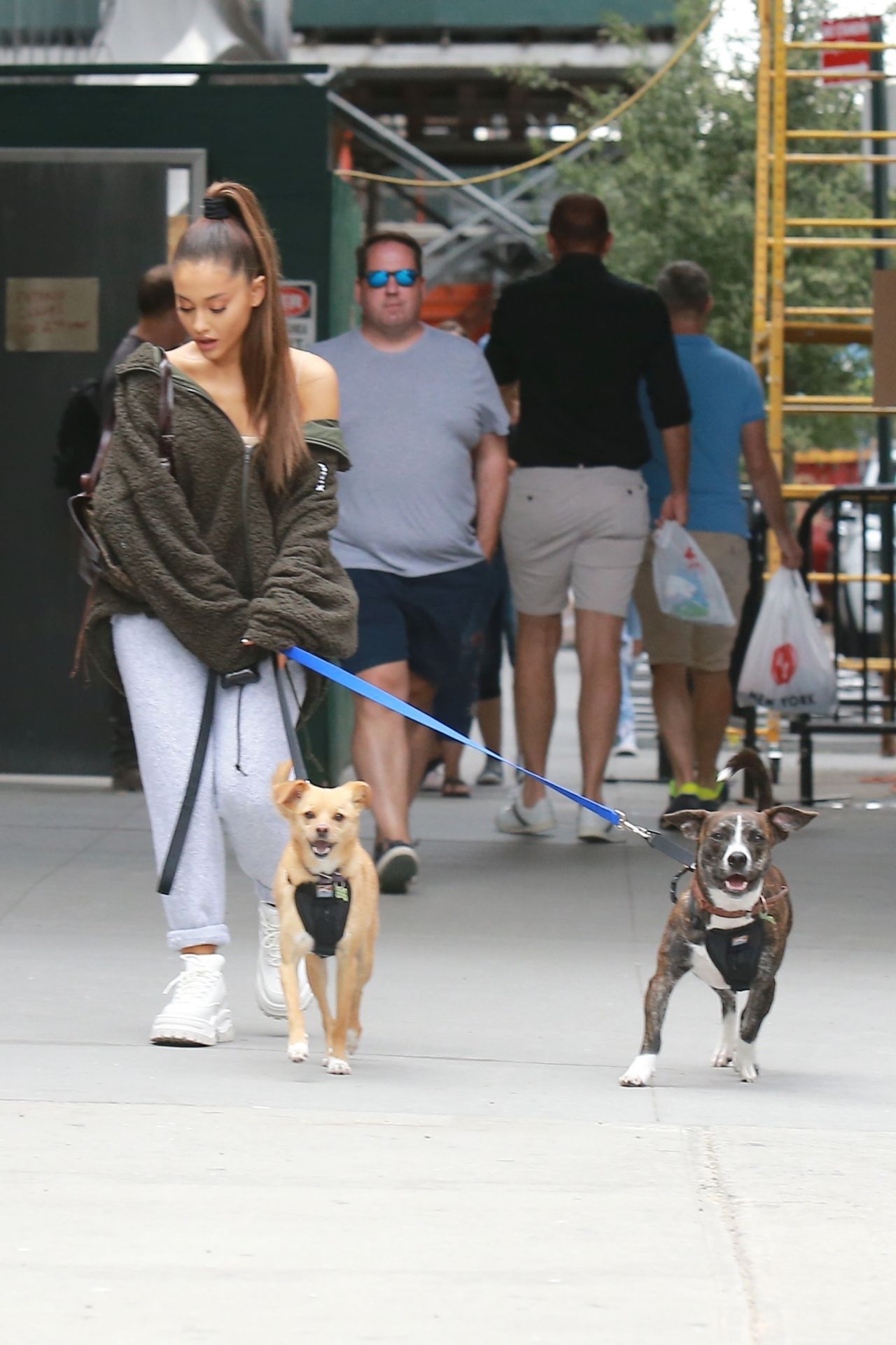 Ariana Grande - Walking Her Dog in NY 9/22/2018 • CelebMafia