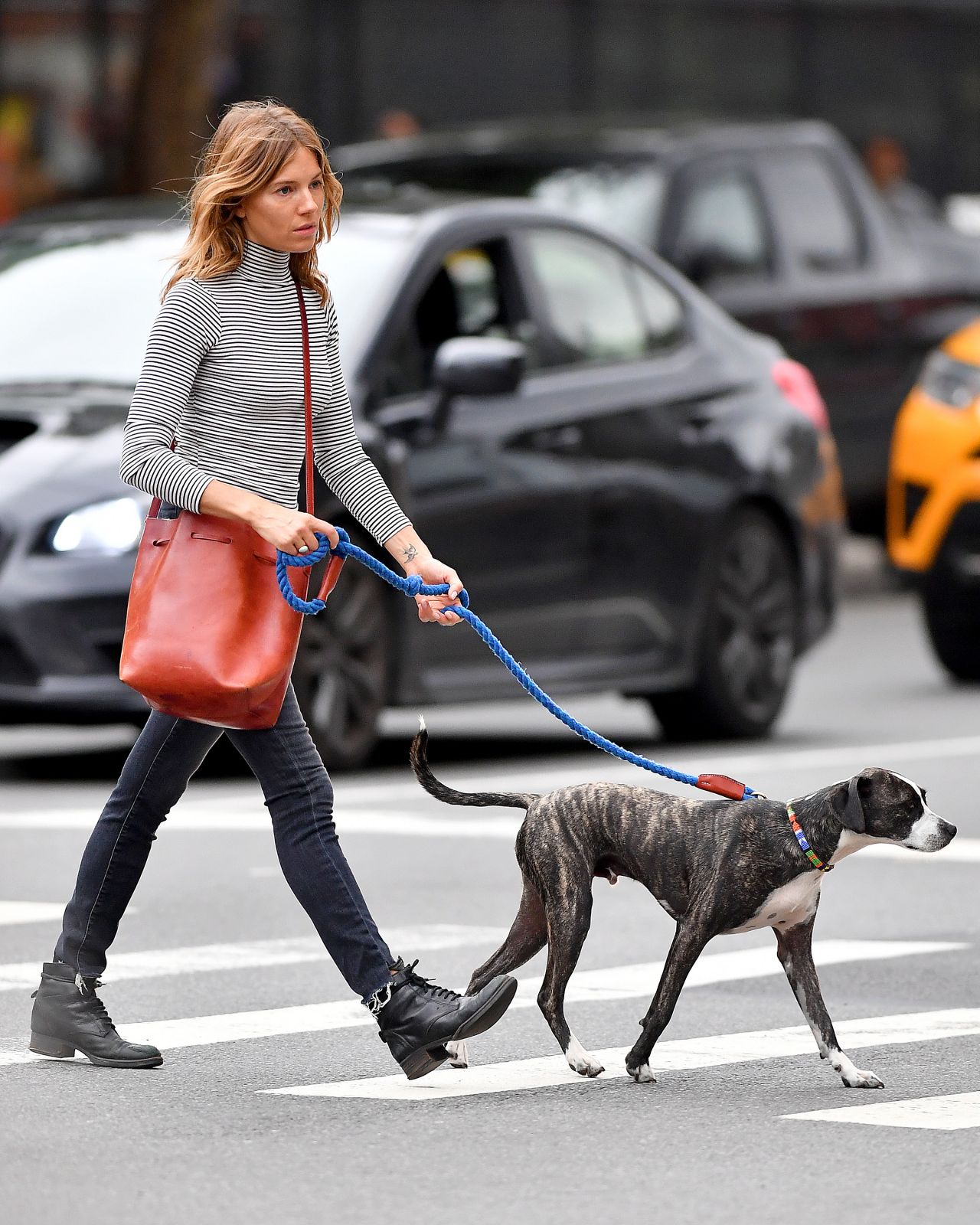 Sienna Miller Walks Her Dog in NYC 09/21/2018 • CelebMafia