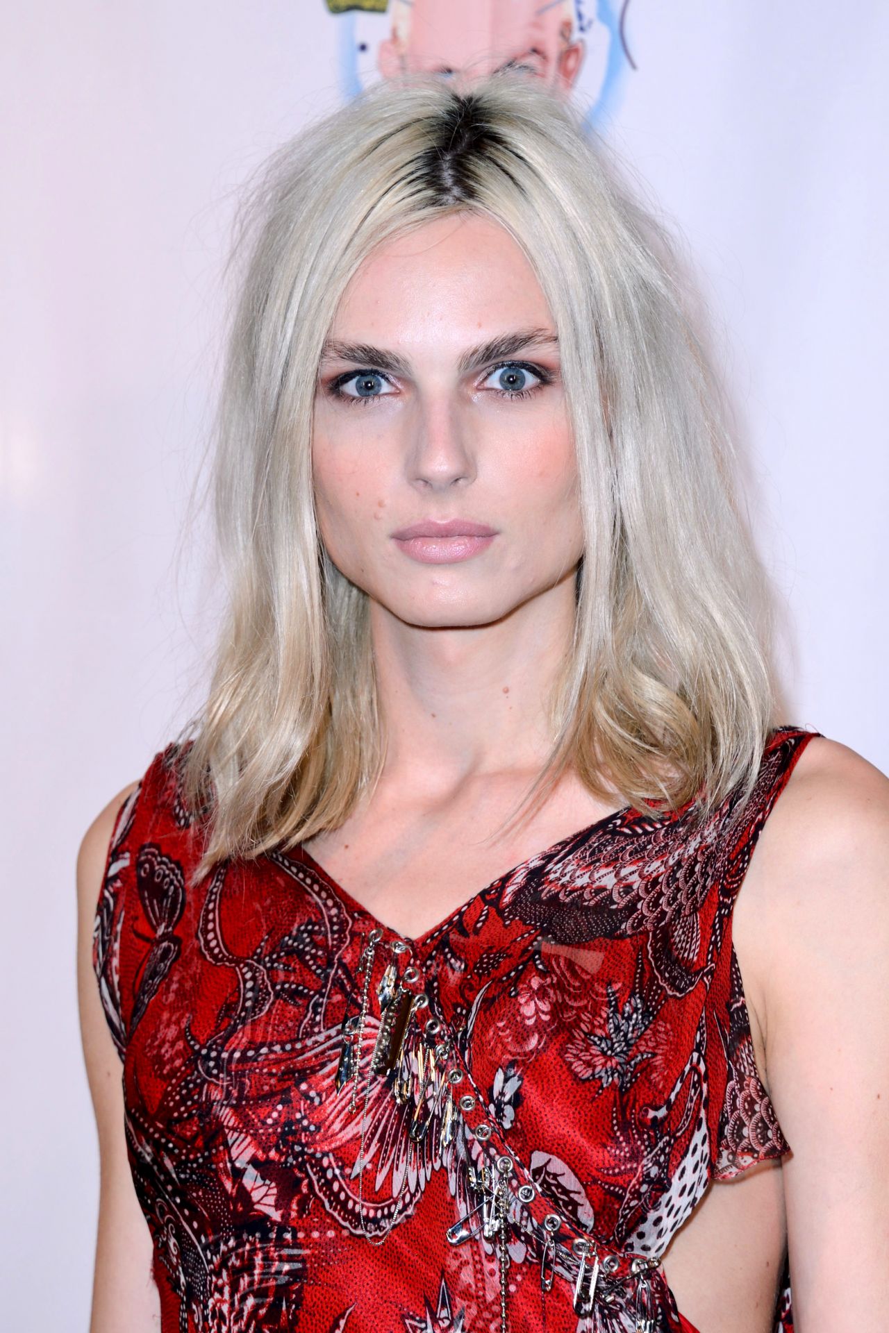 Andreja Pejic Transition