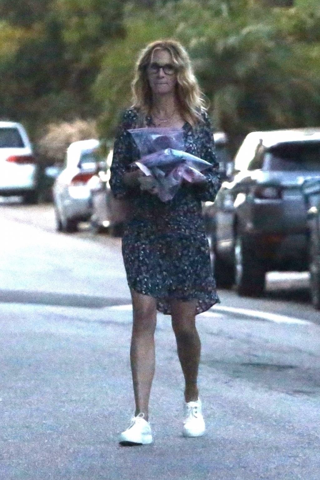 American iconic actress Julia Roberts was spotted carrying a Longchamp Le  Pliage Etoiles.