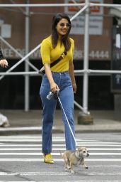 Priyanka Chopra Casual Style - Out With Her Dog in NYC 10/10/2018