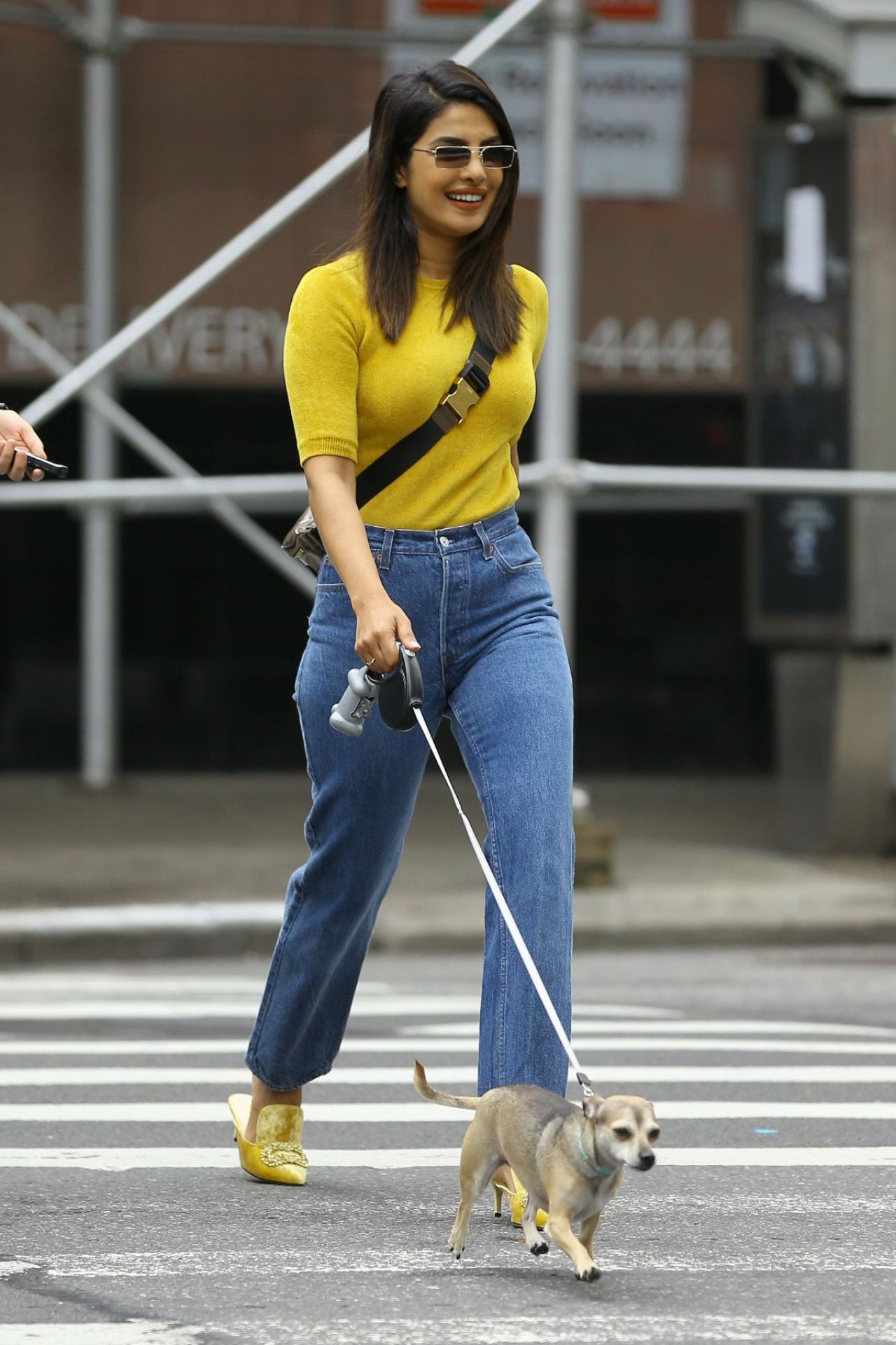 priyanka-chopra-casual-style-out-with-her-dog-in-nyc-10-10-2018-6.jpg