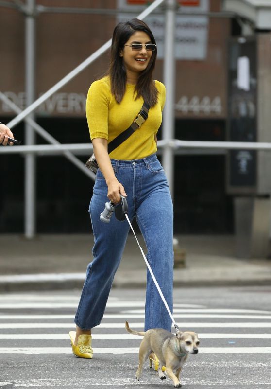 Priyanka Chopra Casual Style - Out With Her Dog in NYC 10/10/2018