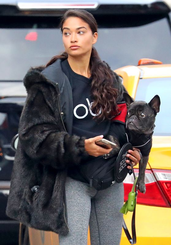 Shanina Shaik  – Out With Her Dog Choppa in NYC 10/29/2018