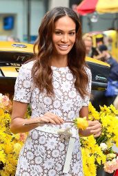 Joan Smalls - Photoshoot With a Cab Full of Daisies in NYC 11/20/2018