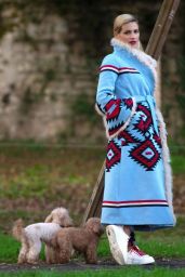 Michelle Hunziker - Walking Her Dog in Milan 11/21/2018