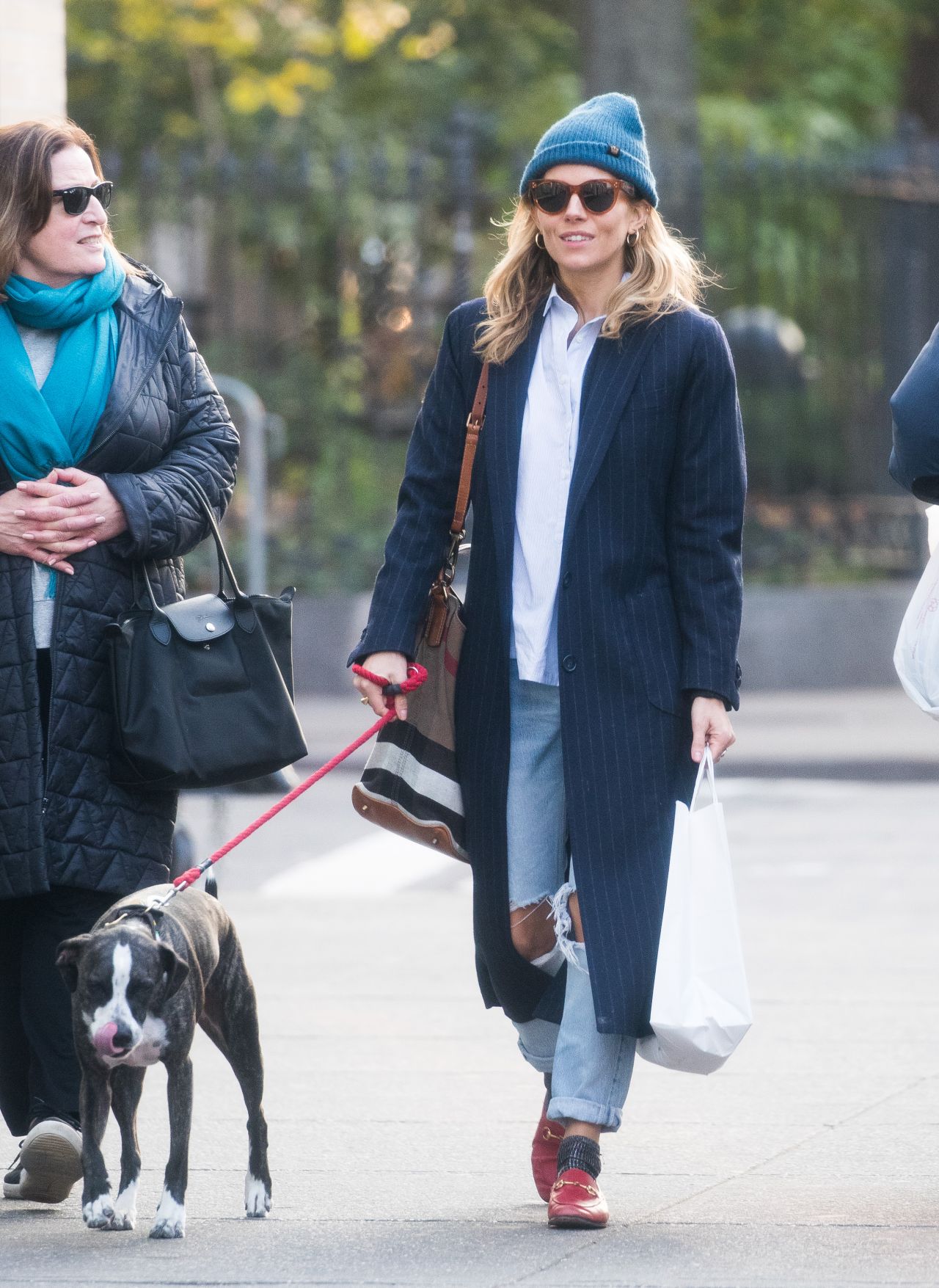 Sienna Miller - Walking Her Dog in NYC 11/19/2018 • CelebMafia