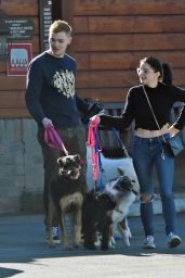 Ariel Winter and Levi Meaden - Take Their Dogs to the Veterinarian in LA 12/30/2018
