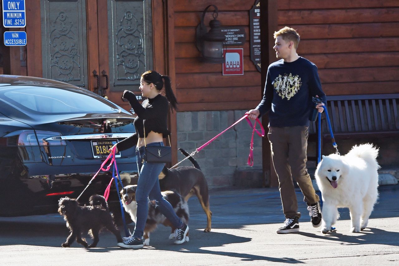 ariel-winter-and-levi-meaden-take-their-dogs-to-the-veterinarian-in-la-12-30-2018-6.jpg