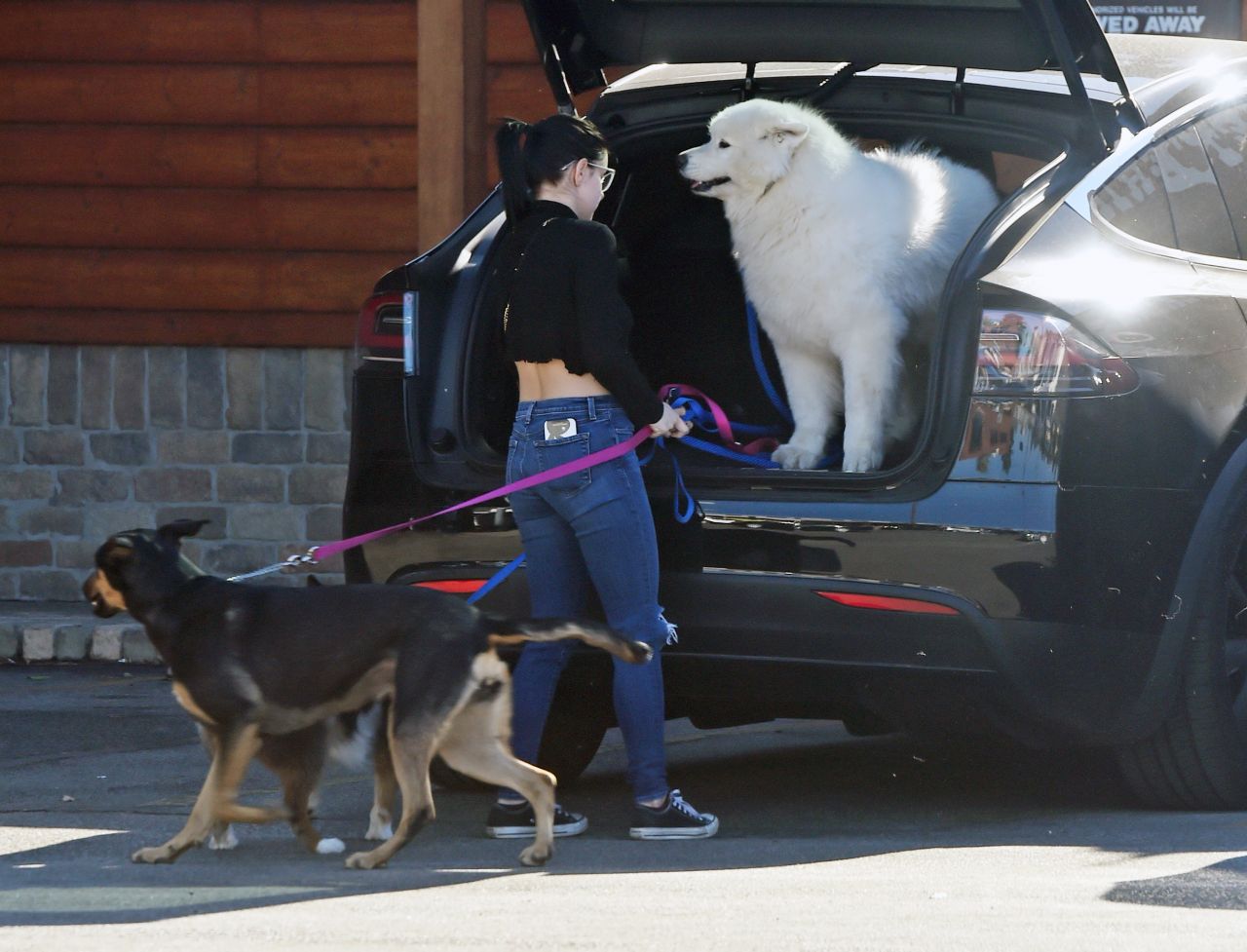 ariel-winter-and-levi-meaden-take-their-dogs-to-the-veterinarian-in-la-12-30-2018-7.jpg