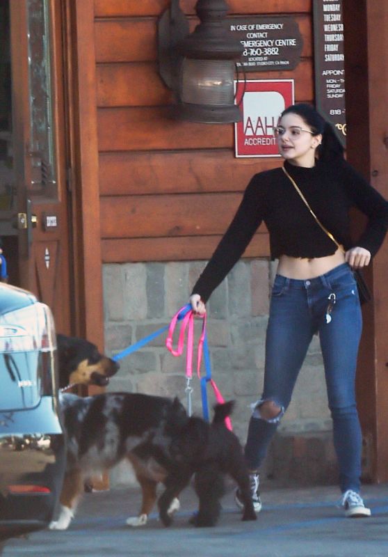 Ariel Winter and Levi Meaden - Take Their Dogs to the Veterinarian in LA 12/30/2018
