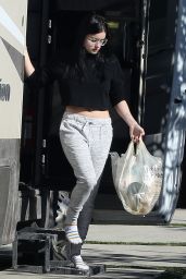 Ariel Winter - Returning Home from a Christmas Road Trip in LA 12/28/2018