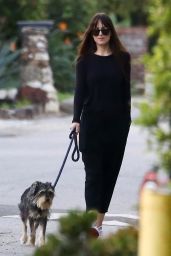 Dakota Johnson - Took Her Dog Out For a Walk in Malibu 01/27/2019
