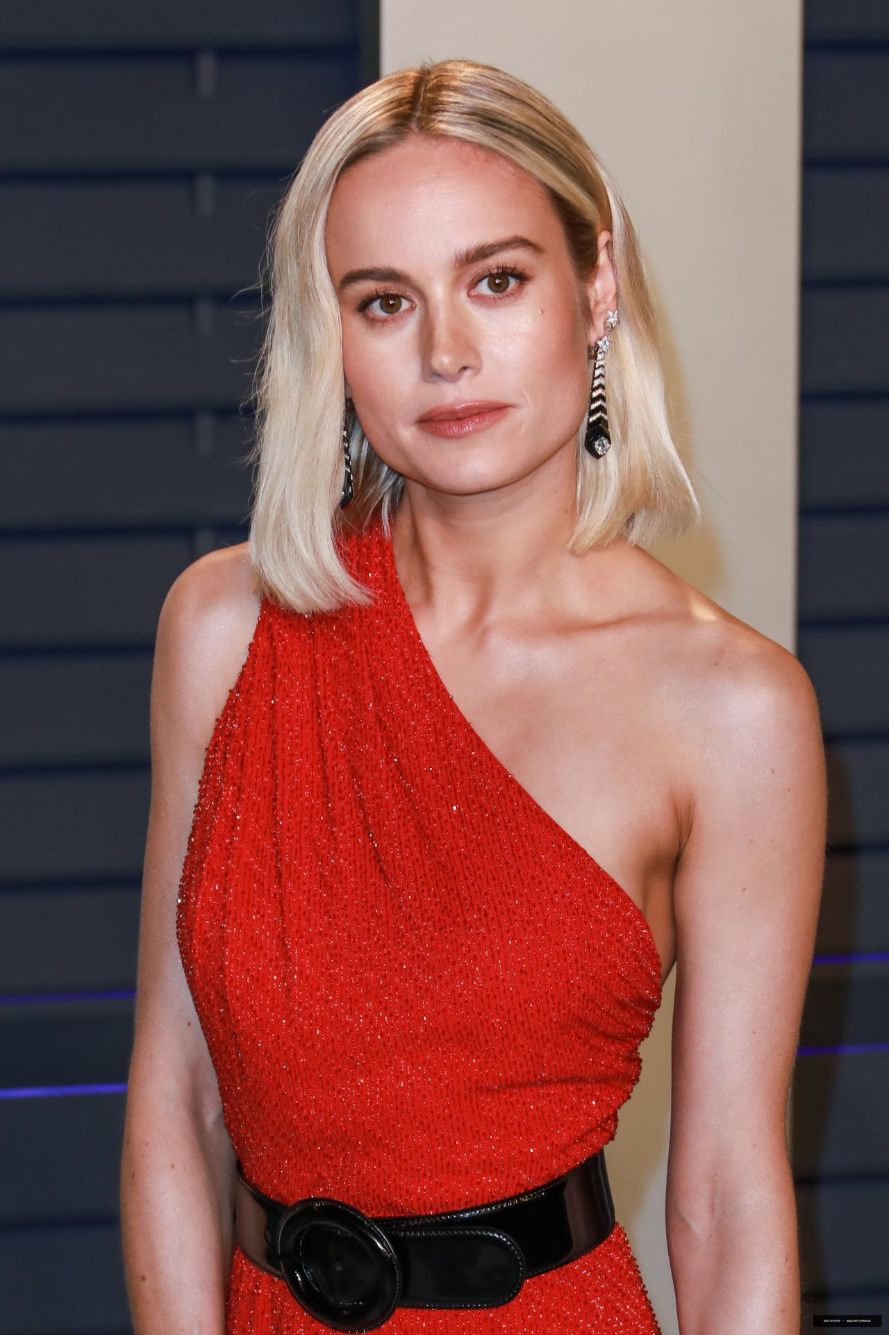 Brie Larson 2019 Vanity Fair Oscar Party More Pics